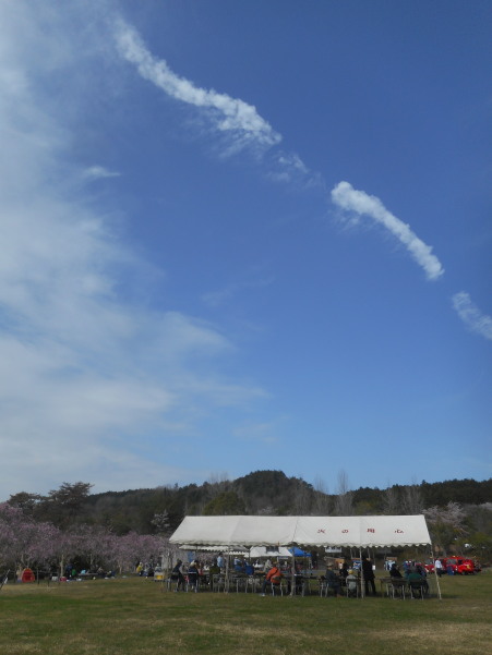 はっぽね桜まつり