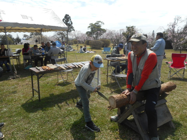 はっぽね桜まつり