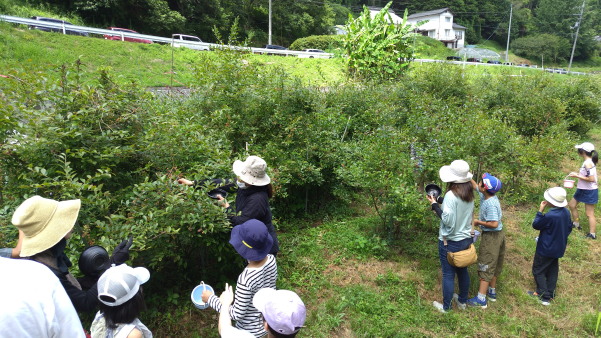 サマースクール