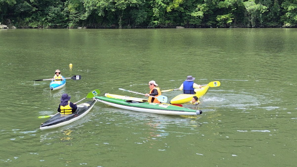 サマースクール