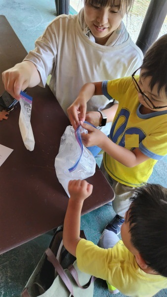 サマースクールⅡ