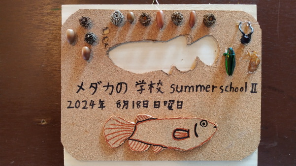 サマースクールⅡ