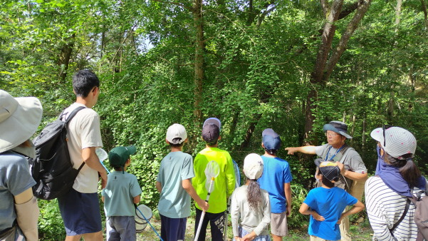 サマースクールⅡ