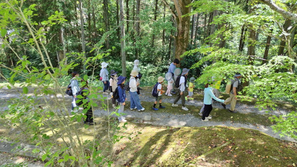 サマースクールⅡ