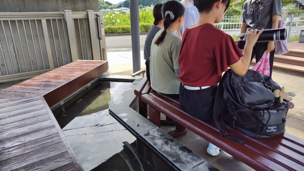 フィールドワークin福渡