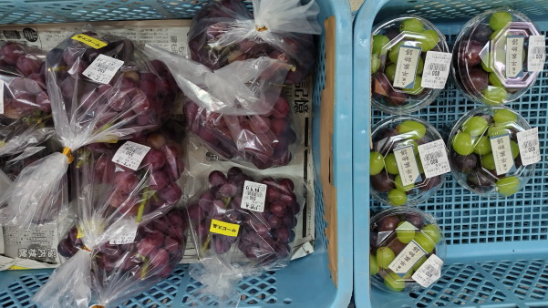 フィールドワークin福渡