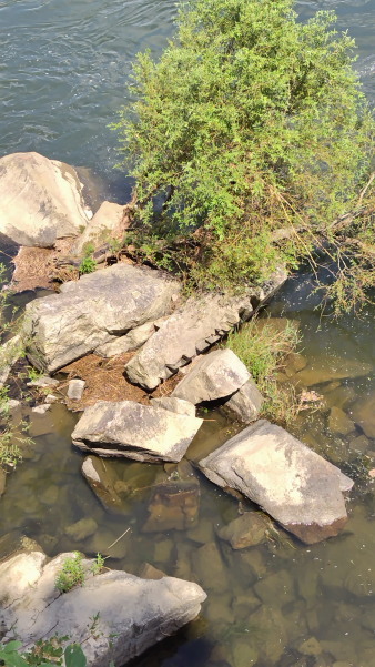 フィールドワークin福渡