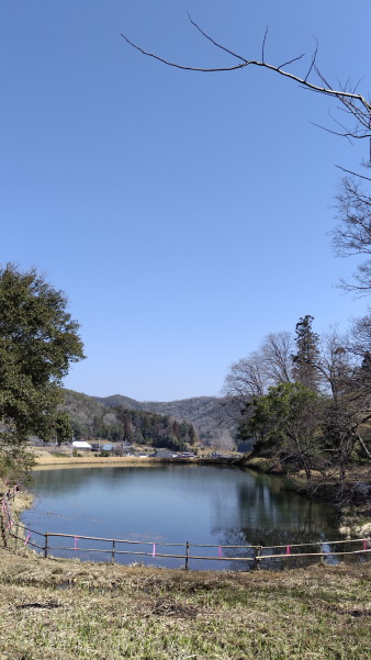 金色の水面❣️ 高田進先生（美術文化協会員）自然風景写真金運アップ